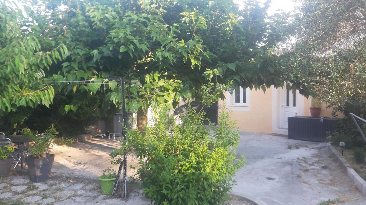 קרפנטרה Ogooue Studio מראה חיצוני תמונה